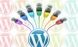 Word Press Plugins